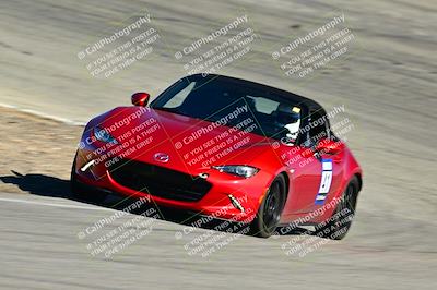 media/Feb-02-2025-Turn8 Trackdays (Sun) [[fc055e275e]]/Beginner/Session 3 - Turn 14/